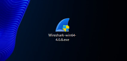 Wireshark のインストール:画像3