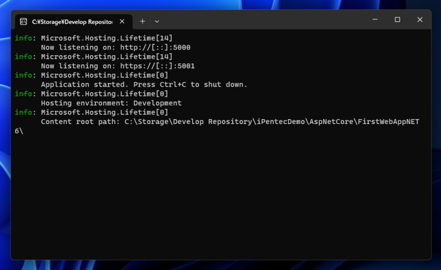 Kestrel Web サーバーで外部からの接続を許可する:画像5