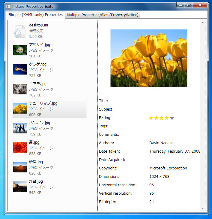 Windows7のAPIを使う(2) Windows API Code Packを使う:画像9