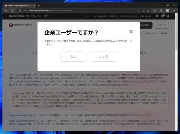 Delphi 11.3 Community Edition のインストール:画像2