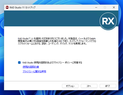 Delphi 11.3 Community Edition のインストール:画像10