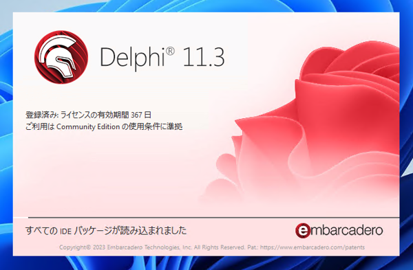 Delphi 11.3 Community Edition のインストール:画像31