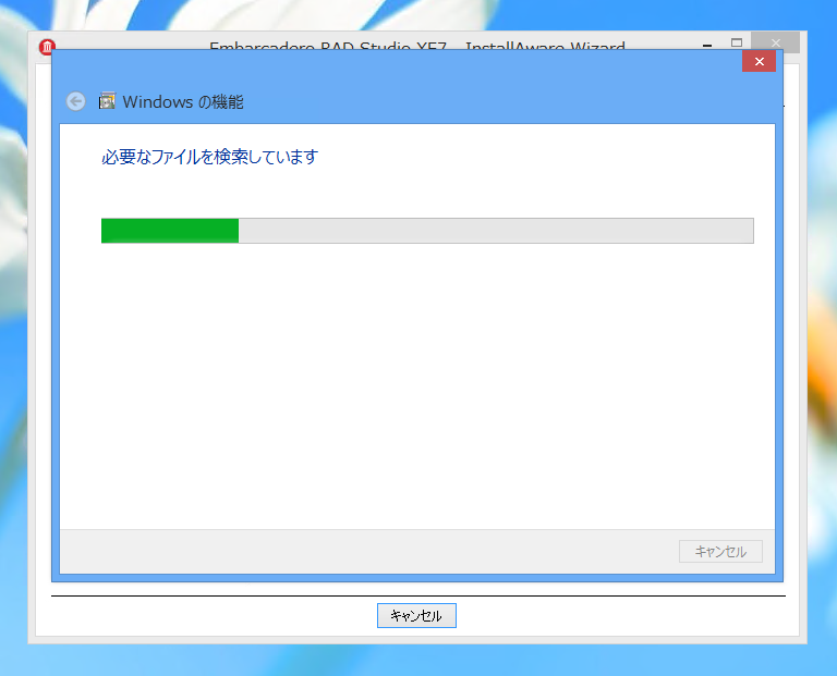Delphi XE7 のインストール:画像8