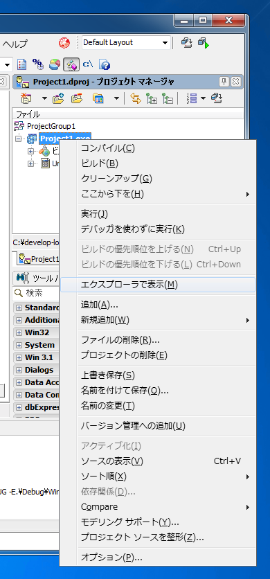 Delphi XE でのアプリケーションビルド:画像4