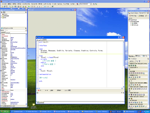 Delphi2005 レビュー:画像2