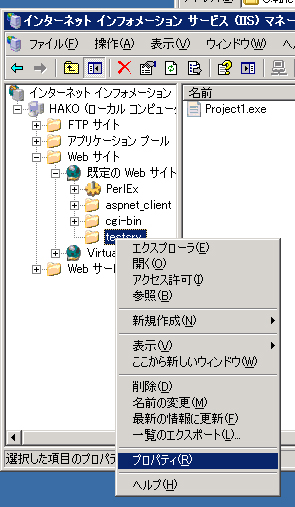 WebService (2):画像2