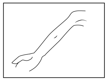 腕の描き方 - デフォルメされた人物キャラクターの描画:画像7