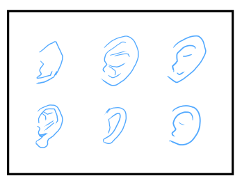 耳の描き方:画像5