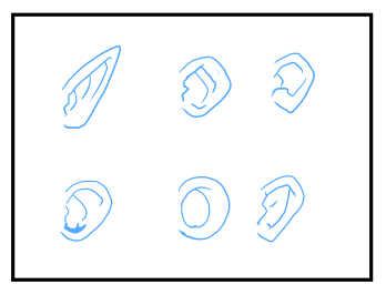 耳の描き方:画像6
