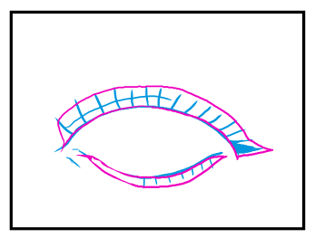 目の描き方:画像28