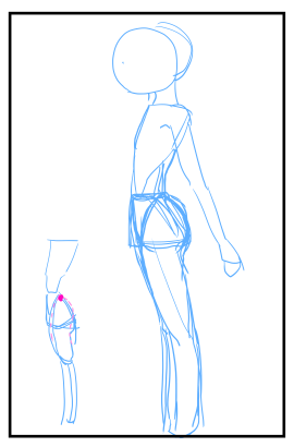 下半身の描き方:画像24