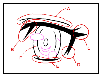 キャラクターが似ない問題への対処 - キャラクターを似せるための書き方Tips:画像15