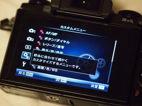 Olympus OM-D E-M5 や E-M1 でEVFや液晶ディスプレイに常時点灯ピクセルが表示される - 撮影した写真に輝点が表示される:画像2