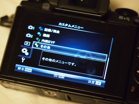 Olympus OM-D E-M5 や E-M1 でEVFや液晶ディスプレイに常時点灯ピクセルが表示される - 撮影した写真に輝点が表示される:画像3
