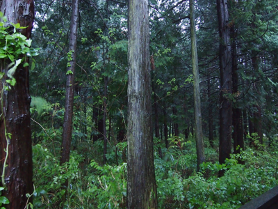 OLYMPUS PEN E-P3 のISO感度別の画質比較:画像4