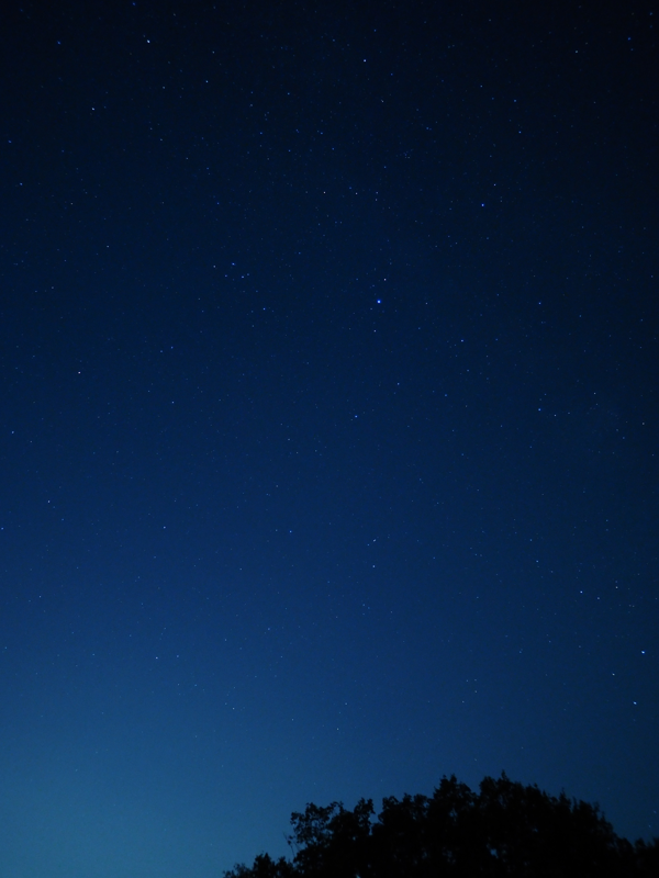 Panasonic LEICA DG SUMMILUX 12mm/F1.4 ASPH. H-X012 のレビュー:画像58