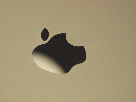 Apple iPad Air のレビュー (iPad Airの初期設定):画像39