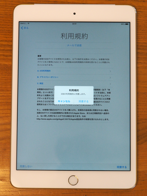 Apple iPad mini3 のレビュー (iPad mini3 の初期設定):画像35