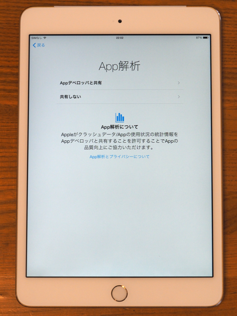 Apple iPad mini3 のレビュー (iPad mini3 の初期設定):画像40