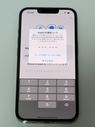 iPhone 13 Pro のレビュー (iPhone 13 Pro の初期設定):画像49