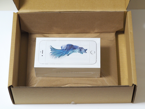 Apple iPhone 6s のレビュー (iPhone 6s の初期設定):画像3