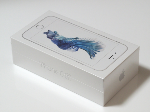 Apple iPhone 6s のレビュー (iPhone 6s の初期設定):画像4