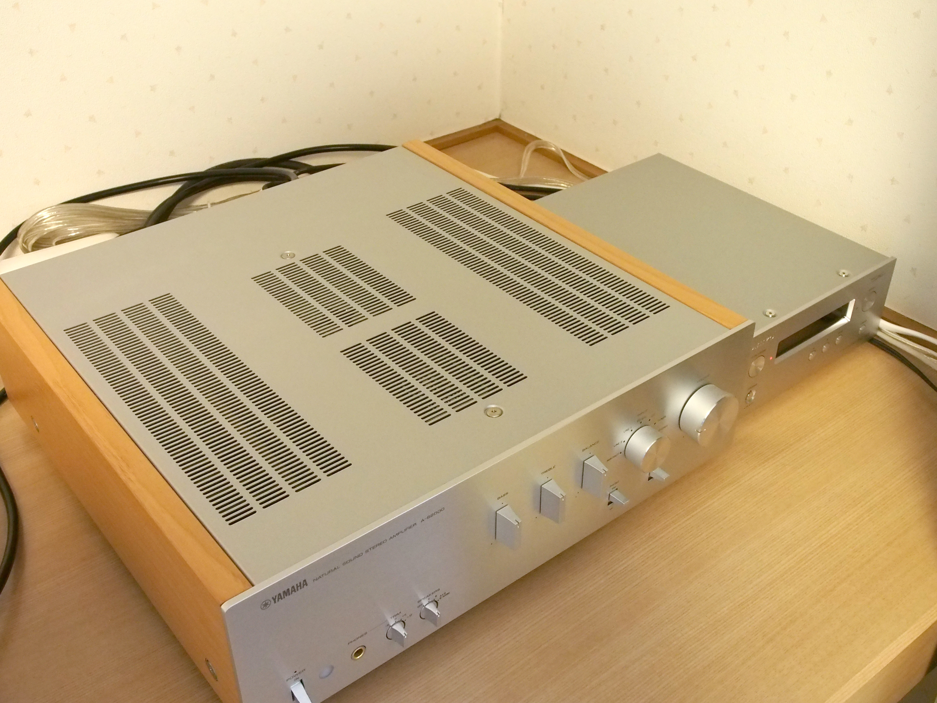 RUKURUKUさま専用（原画）輝く夜空のささやき【A5サイズ／水彩画