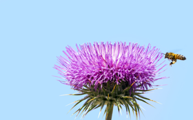 HP Elitebook 8770w Mobile Workstation のレビュー:画像35