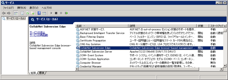 CollabNet Subversion Edge 3.0.1 のインストール:画像10