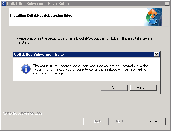 CollabNet Subversion Edge 3.1.0 のインストール:画像8
