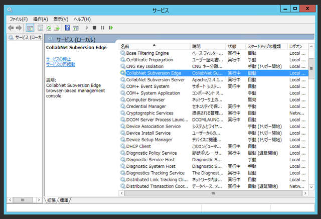 CollabNet Subversion Edge 5.0.1 のインストール:画像12