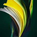 iOS 13の壁紙:画像39