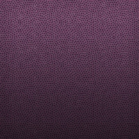 iOS 4の壁紙:画像22