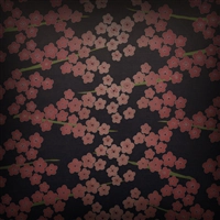 iOS 4の壁紙:画像24