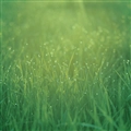 iOS 5の壁紙:画像28