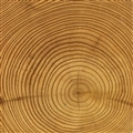iOS 5の壁紙:画像34
