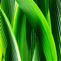 iOS 7の壁紙:画像50