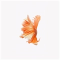 iOS 9の壁紙:画像48