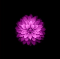 iOS 9の壁紙:画像33