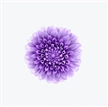 iOS 9の壁紙:画像37