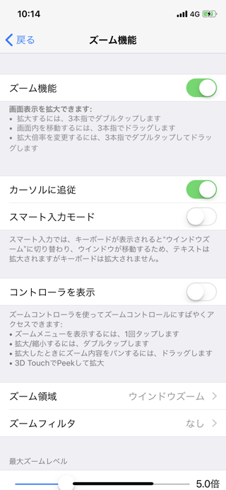 iPhoneのズーム機能を無効にしたい:画像6