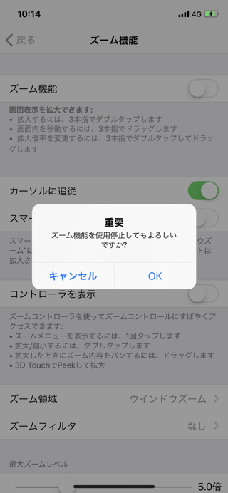 iPhoneのズーム機能を無効にしたい:画像7