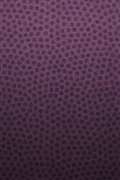 iOS 5の壁紙:画像7
