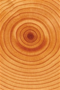 iOS 5の壁紙:画像8