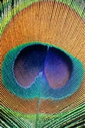 iOS 5の壁紙:画像20