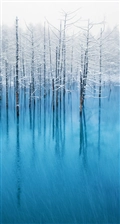 iOS 7の壁紙:画像5