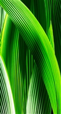 iOS 7の壁紙:画像18