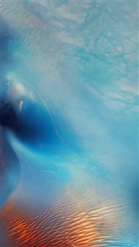 iOS 9の壁紙:画像1