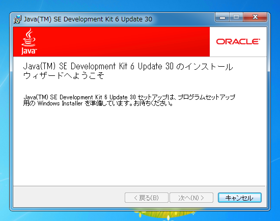 JDK6 Update30 をインストールする:画像10