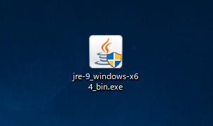 JRE9 のインストール:画像4